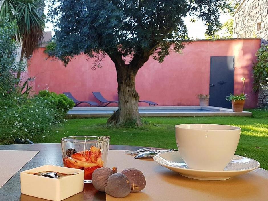La Maison Des Marronniers Acomodação com café da manhã Uzès Exterior foto